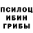 Псилоцибиновые грибы мицелий Mahire Ferzeliyeva