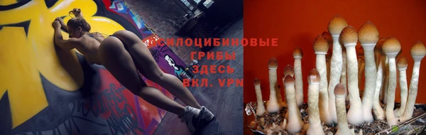 Альфа ПВП Заволжье