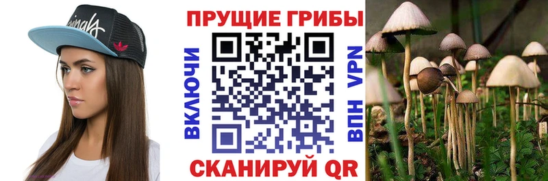 Псилоцибиновые грибы мицелий  Купить  Заречный 